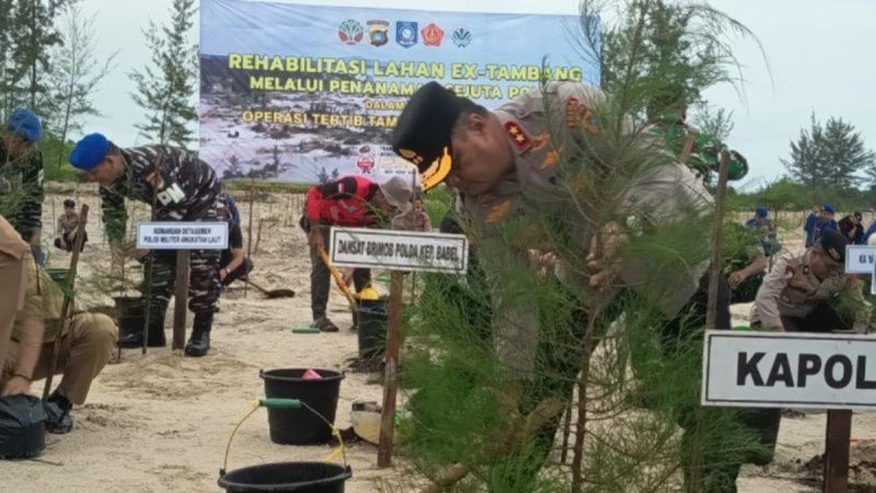 Polda Babel Hijaukan Lahan Bekas Tambang, 28.775 Pohon Ditanam di 145 Hektare