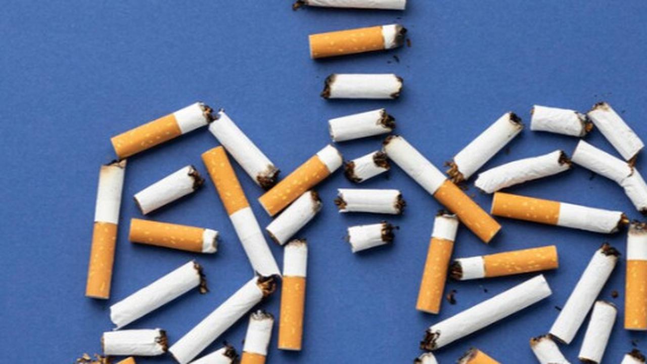 Asap Ganja vs. Rokok: Mana yang Lebih Berbahaya untuk Paru-Paru?