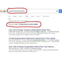 Lupakan 'Sungai bersih karena Foke', ini beberapa trick Google yang jarang banget pengunanya ketahui. (Via: google.com)