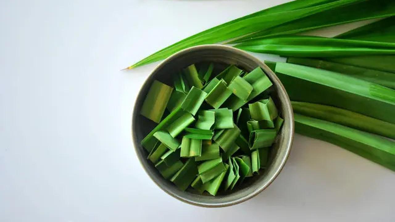 Manfaat Daun Pandan untuk Menurunkan Gula Darah dan Kolesterol