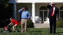 Presiden AS, Donald Trump melihat hasil kerja Frank Giaccio saat memotong rumput di Rose Garden, Gedung Putih, Jumat (15/9). Dalam suratnya, bocah 11 tahun itu menulis bahwa ini adalah kehormatan baginya memotong rumput Gedung Putih. (AP/Jacquelyn Martin)