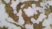 Bubur ketan putih dan kacang hijau (dok.Cookpad/Yuni Setianingsih)