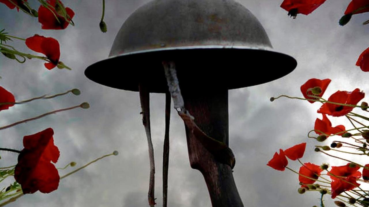 What Is Veterans Day? Date, History, and Impact on Public Service in the United States