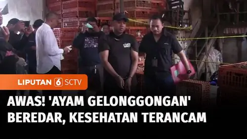 VIDEO: Heboh! Temuan Ayam Gelonggongan di Jaksel, Pelaku Jual Ayam Rp50 Ribu per Ekor