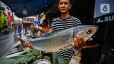 Pedagang menunjukkan ikan bandeng di kawasan Rawa Belong, Jakarta  Barat, Jumat  (9/2/2024). (Liputan6.com/Angga Yuniar)