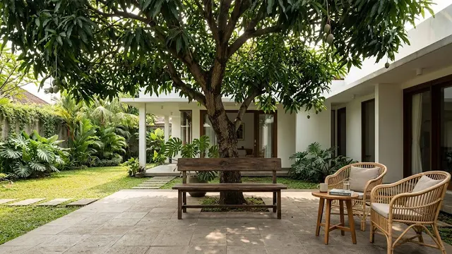 Model Teras Depan Rumah dengan Pohon Mangga Besar Jadi Peneduh Estetik