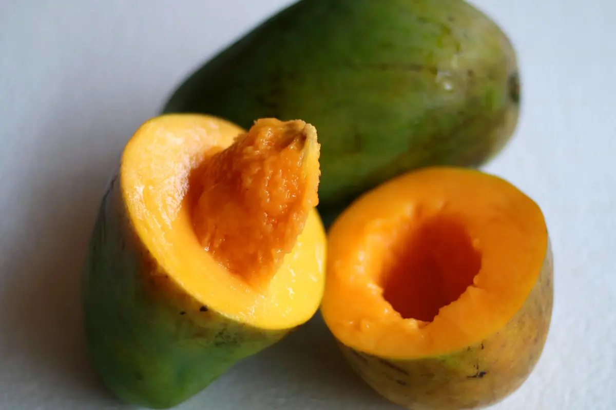 Jenis Mangga Paling Enak