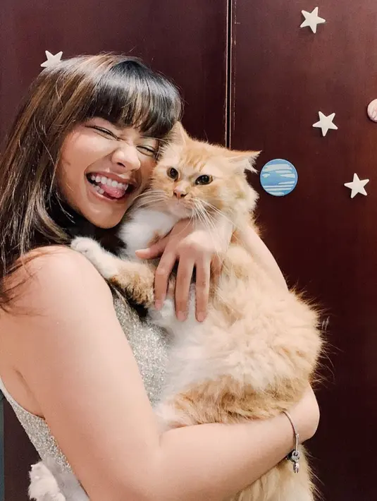 Momen gemas Amel saat menggendong kucingnya. Dalam profil Instagramnya, mantan artis cilik tersebut terlihat cukup sering mengunggah anabul kesayangannya. (Instagram/@amelcarla)