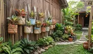 8 Inspirasi Pot Aglonema dari Galon Bekas, Ide Daur Ulang yang Membuat Sudut Rumah Lebih Hidup