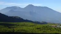 Gunung Pangrango di Bogor adalah salah satu tujuan pendaki. (Dok: Gunung Bagging&nbsp;https://www.gunungbagging.com/pangrango/)