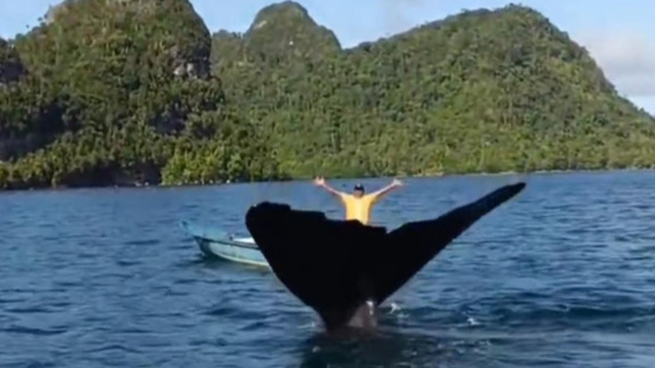 Anak-anak Papua Bermain dengan Seekor Ikan Paus di Laut Raja Ampat