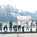 Petani Sukabumi 'Curi Start' Tanam Padi, Ini Alasannya