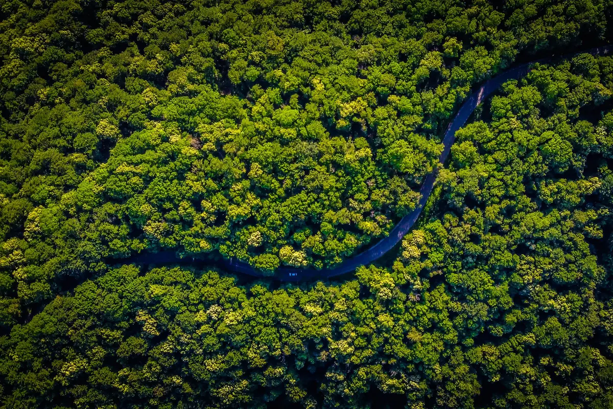 Dua Bocah yang Hilang Selama Sebulan Secara Ajaib Ditemukan di Hutan Amazon, Kurus Kering Hanya Mengandalkan Air Hujan