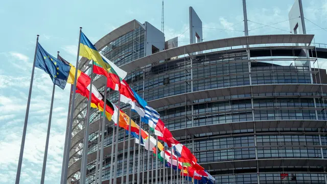 European Flag