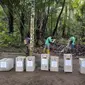 Proses pemindahan 8 ekor yaki dari kandang habituasi di Gunung Masarang, Kelurahan Rurukan, Kota Tomohon, Sulut.