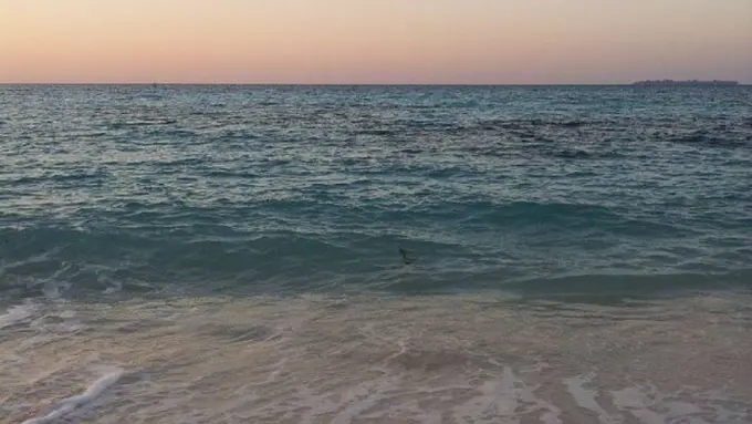 Tertegun Indahnya Gradasi Air Laut di Pulau Lanjukang