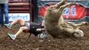 Seorang anak perempuan terjatuh saat menunggangi kuda elama kompetisi Wool Riders Only Mutton Bustin 'di Iowa State Fair di Des Moines, Iowa, AS (12/9/2019). Lowa State Fair pertama kali diadakan pada tahun 1854. (Chip Somodevilla/Getty Images/AFP)