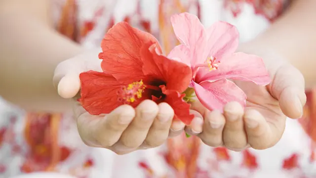 Berbagai Bahan Alami yang Bisa Membuat Rambut Hitam dan Bersinar, Mudah dan Terjangkau!