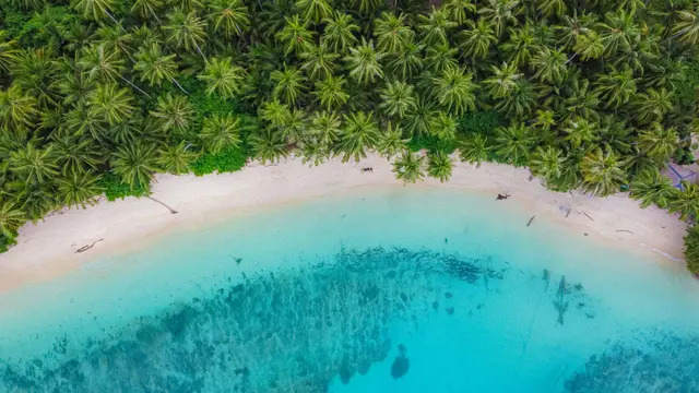 Destinasi Wisata Pulau Diyonumo