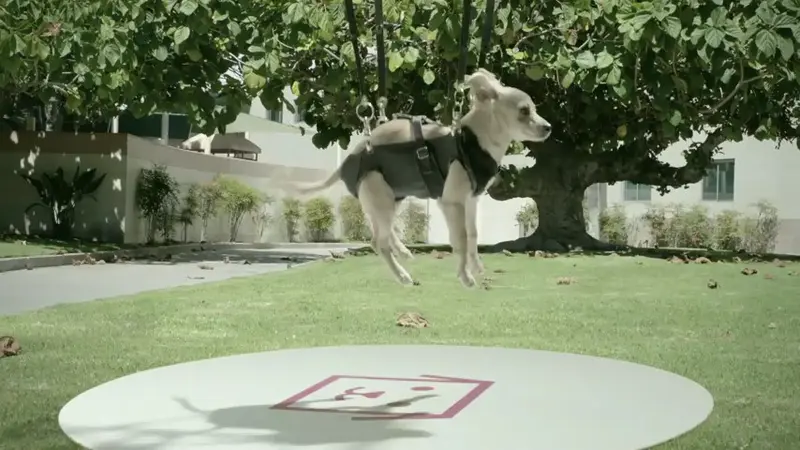 Wow, Pengiriman Anak Anjing Gunakan Drone 