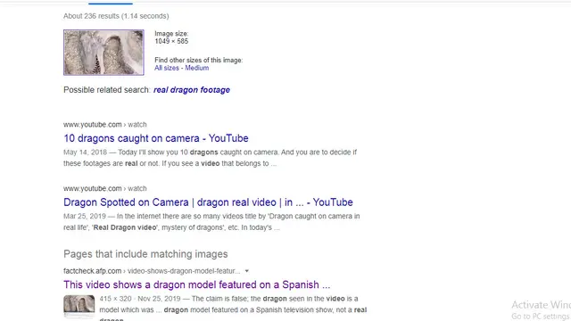 Hasil penelusuran Google Image