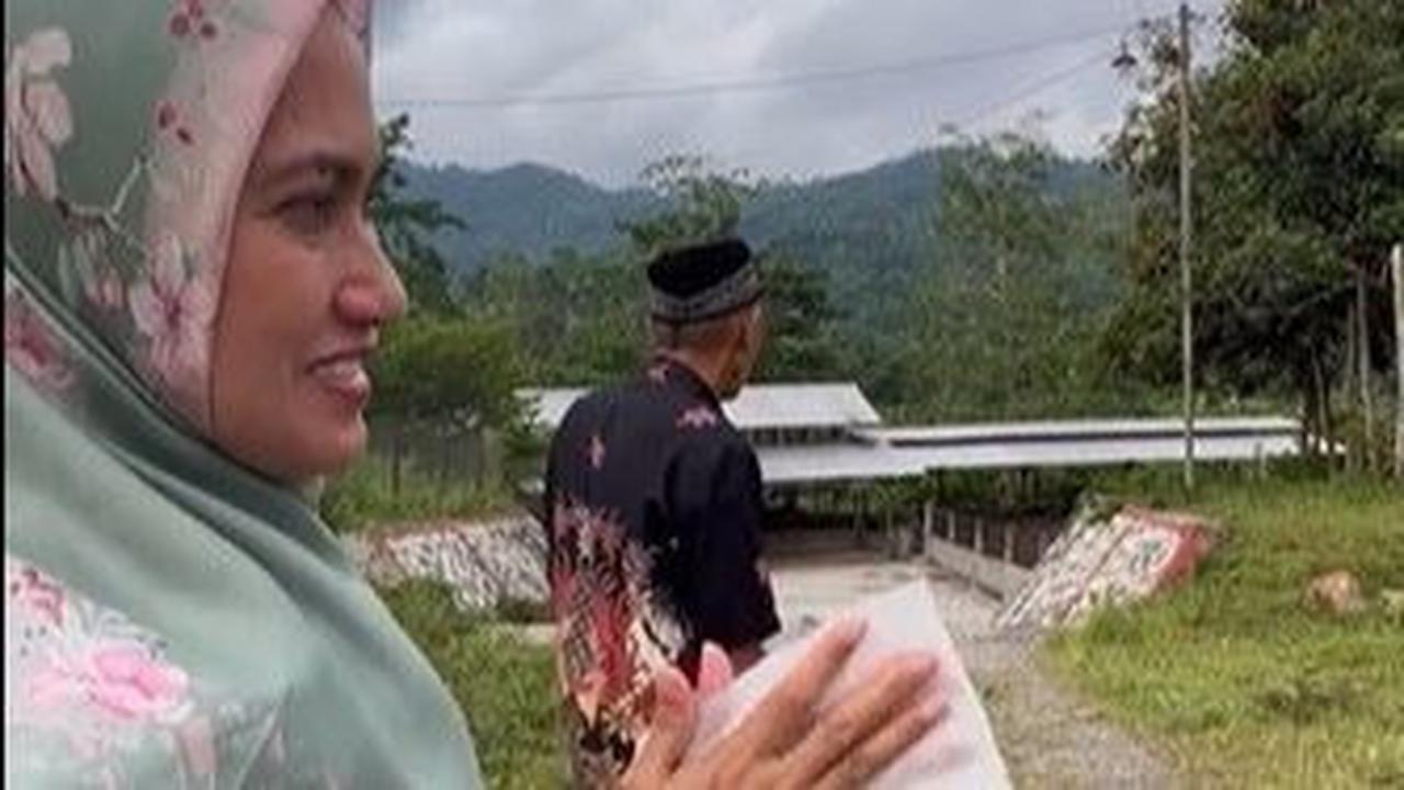 Terlihat puluhan ekor sapi berukuran cukup besar hidup di peternakan yang ada di area perkebunan tersebut.