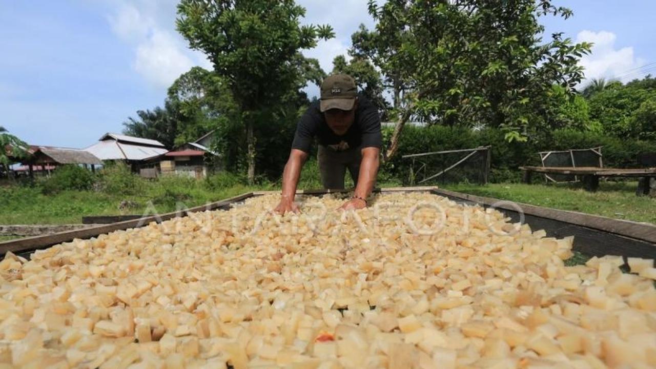 Kementerian UMKM Gandeng IKPI Perkuat Pendampingan Pajak UMKM Nasional