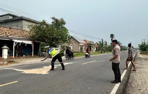 Detik-Detik Pelajar SMA Tewas Terlindas Truk