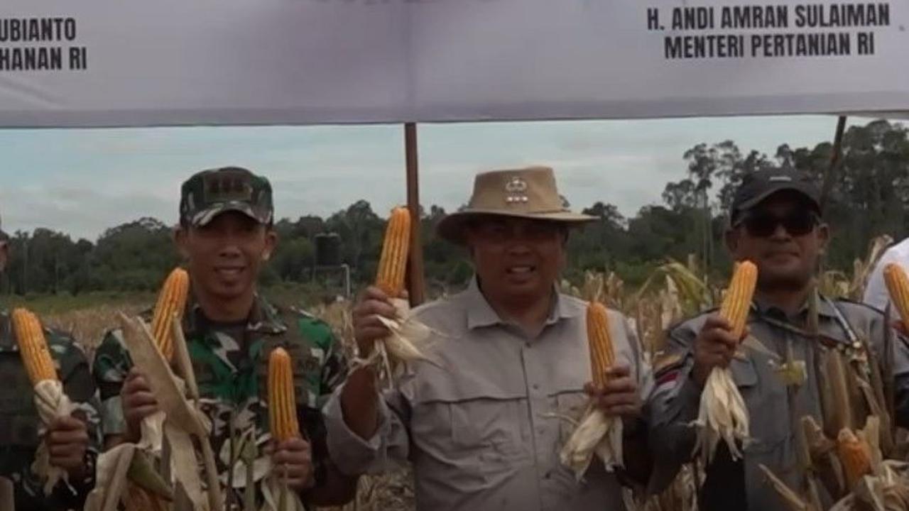 Panen Raya Food Estate di Gunung Mas