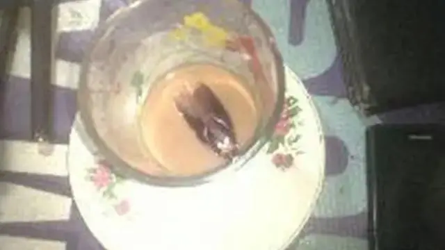6 Momen Apes saat Makanan Dihinggapi Kecoa Ini Bikin Perut Mual