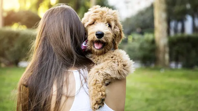 [Bintang] 10 Alasan Kenapa Memelihara Anjing Membuat Hidupmu Lebih Sehat