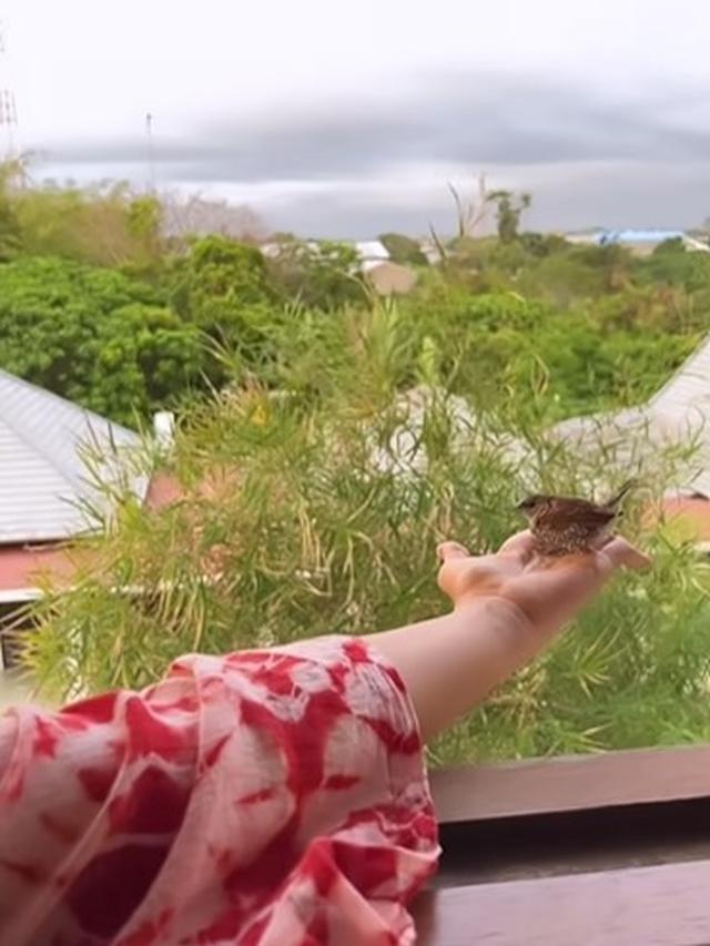 Maudy Koesnaedi selamatkan burung kecil (Instagram/maudykoesnaedi)