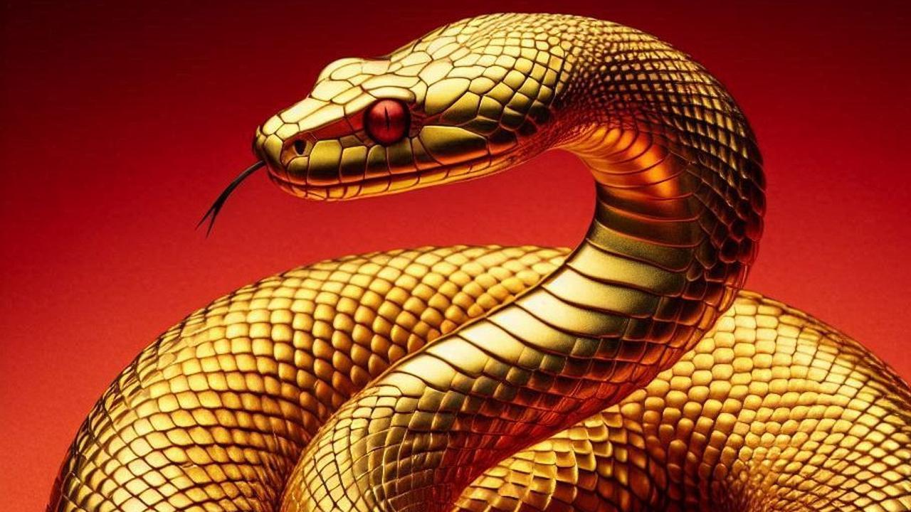 Melihat Peruntungan 12 Shio di Tahun Ular Kayu, Ini yang Harus Dilakukan Biar Untung Sepanjang Tahun