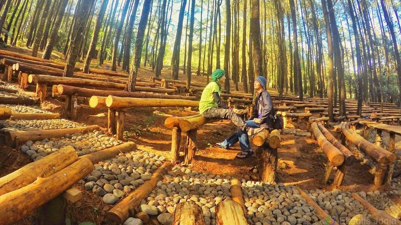 [reservasi]hutan pinus mangunan
