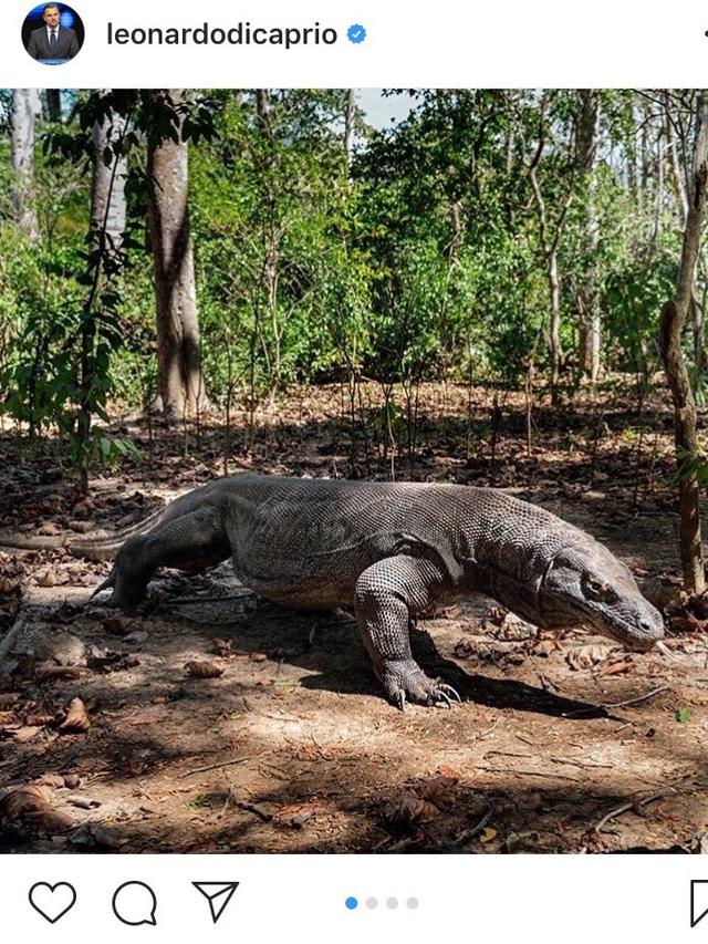 Unggahan Leonardo diCaprio tentang Pulau Komodo (Instagram)