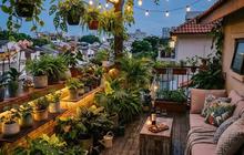 5 Inspirasi Rumah Tipe 21 dengan Rooftop Hijau, Kecil tapi Terasa Luas dan Asri
