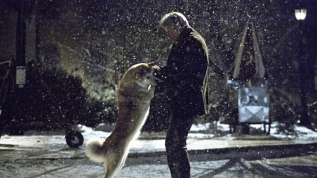 [Bintang] Hachiko