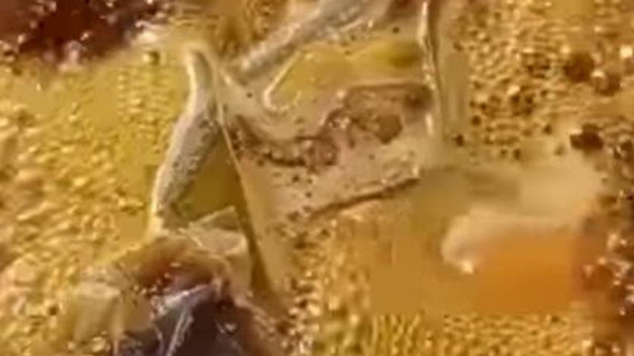 Masak Hingga Mendidih