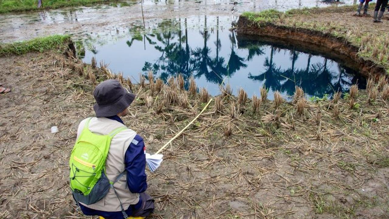 Badan Geologi Ingatkan Potensi Melebarnya Sinkhole Situjuah di Sumbar