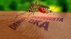 Virus Zika dilaporkan dapat menyebar melalui hubungan seksual. Informasi ini membuat WHO membuat langkah cepat untuk menyelidikinya.