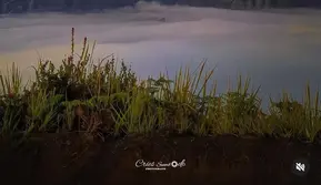 Gunung Bromo Ditutup Selama Ritual Yadnya Kasada, Berlaku Mulai 30 Mei 2026
