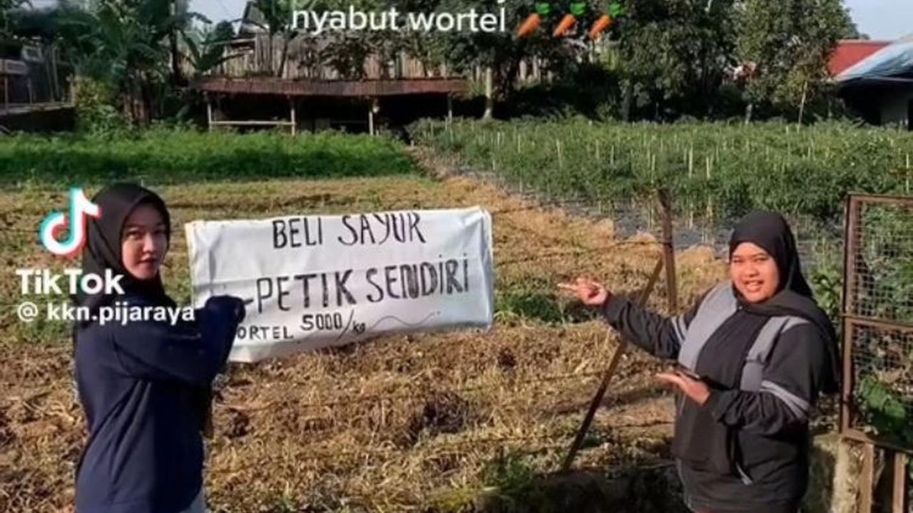 "KKN, N nya nyabut wortel," tulisnya di awal video tersebut.