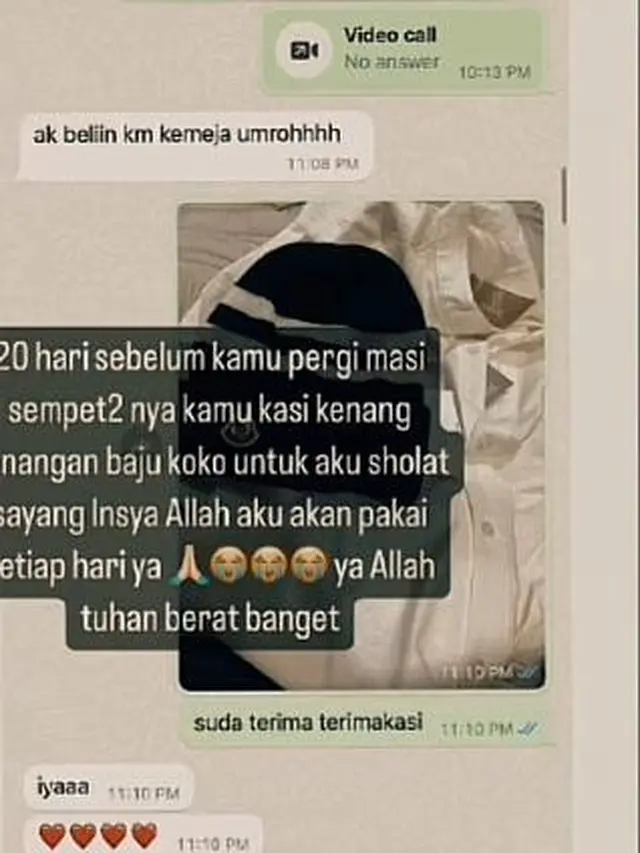 Cuplikan chat Stevianne Agnecya dan Anggi Pratama (Tiktok/@arynda_saga))