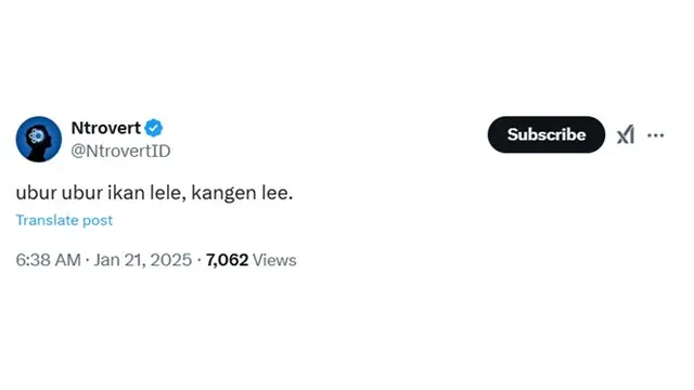 6 Cuitan Netizen Pakai Pantun 'Ubur-Ubur Ikan Lele' Ini Kocak