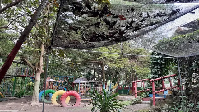 Rekomendasi Wisata Outbond Ramah Anak di Jogja