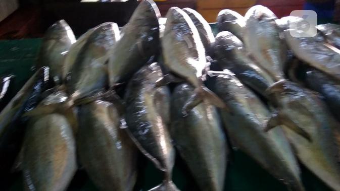 Ikan-ikan menjadi berharga mahal. Tongkol dan Tuna naik hingga dua kali lipat, namun tetap tak ada di pasaran. (foto: Liputan6.com / ajang nurdin)