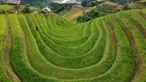 Foto udara menunjukkan sawah terasering di distrik Mu Cang Chai, Vietnam bagian utara pada 18 September 2020. Pesawahan terasering di Mu Cang Chai merupakan destinasi-destinasi wisata yang atraktif dan menyerap kedatangan  banyak wisatawan domestik dan mancanegara. (Manan VATSYAYANA/AFP)