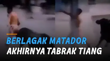 Nasib apes dialami oleh seorang pria ini ketika bertindak seperti matador namun akhirnya harus menabrak tiang.