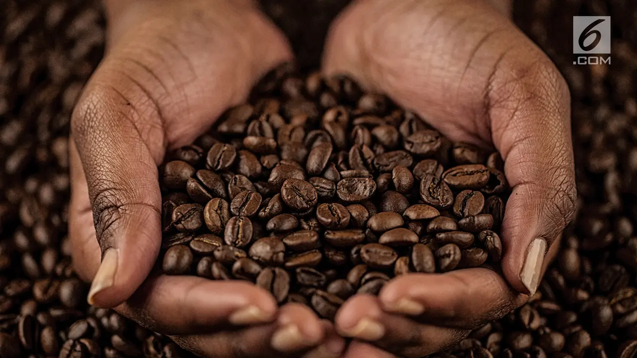 Biji Kopi