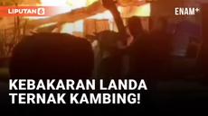 Kebakaran Landa Peternakan Kambing di Pondok Kopi
